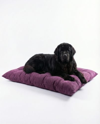 Pet Mat
