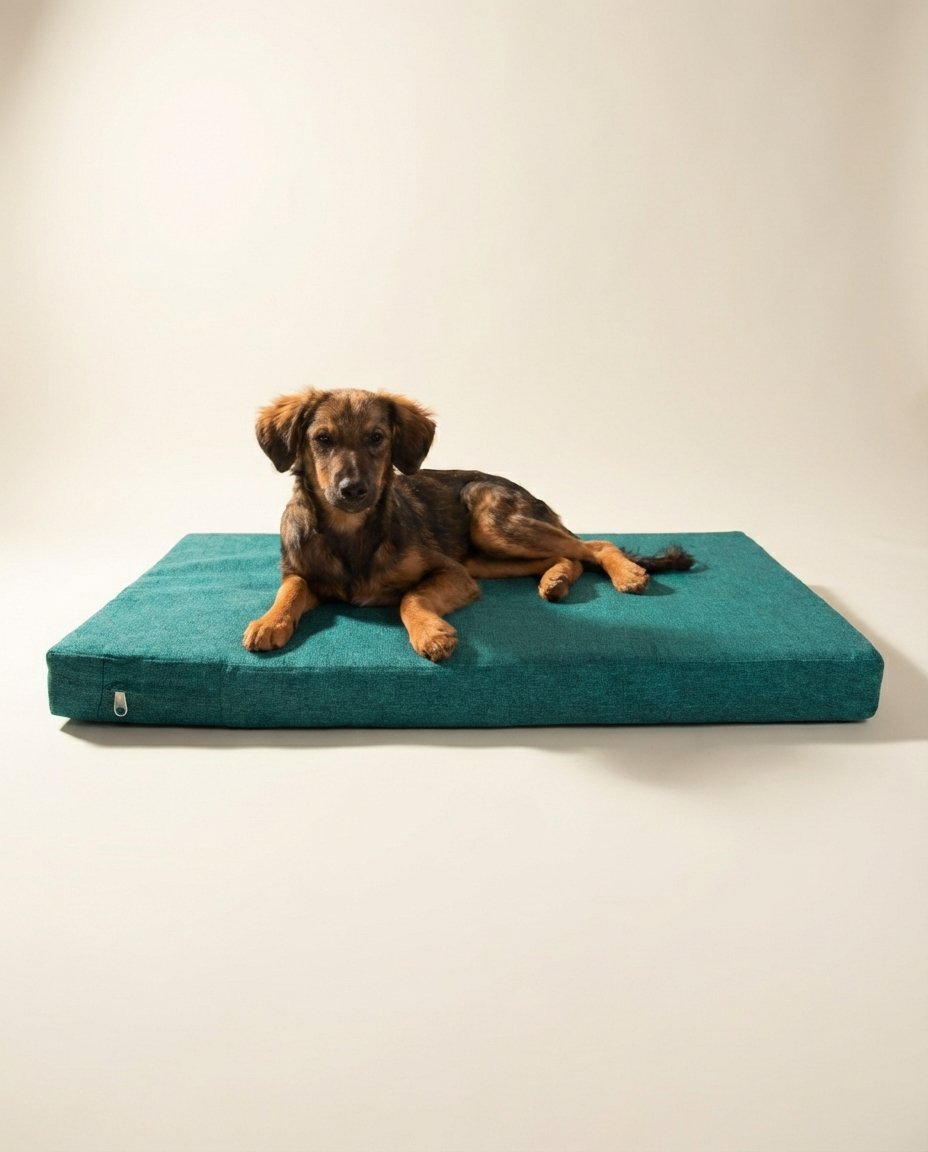 Orthopedic Dog Bed Cover Jute